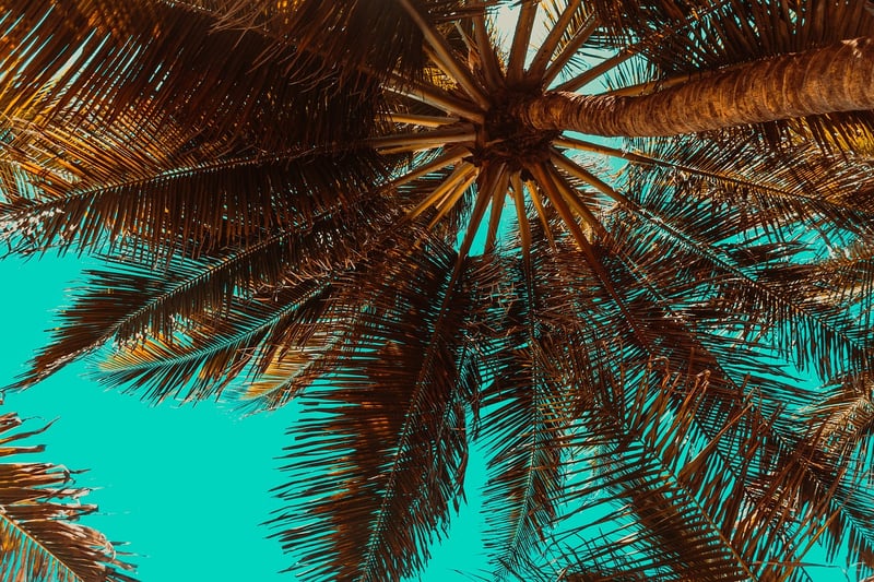 Maldives Beach